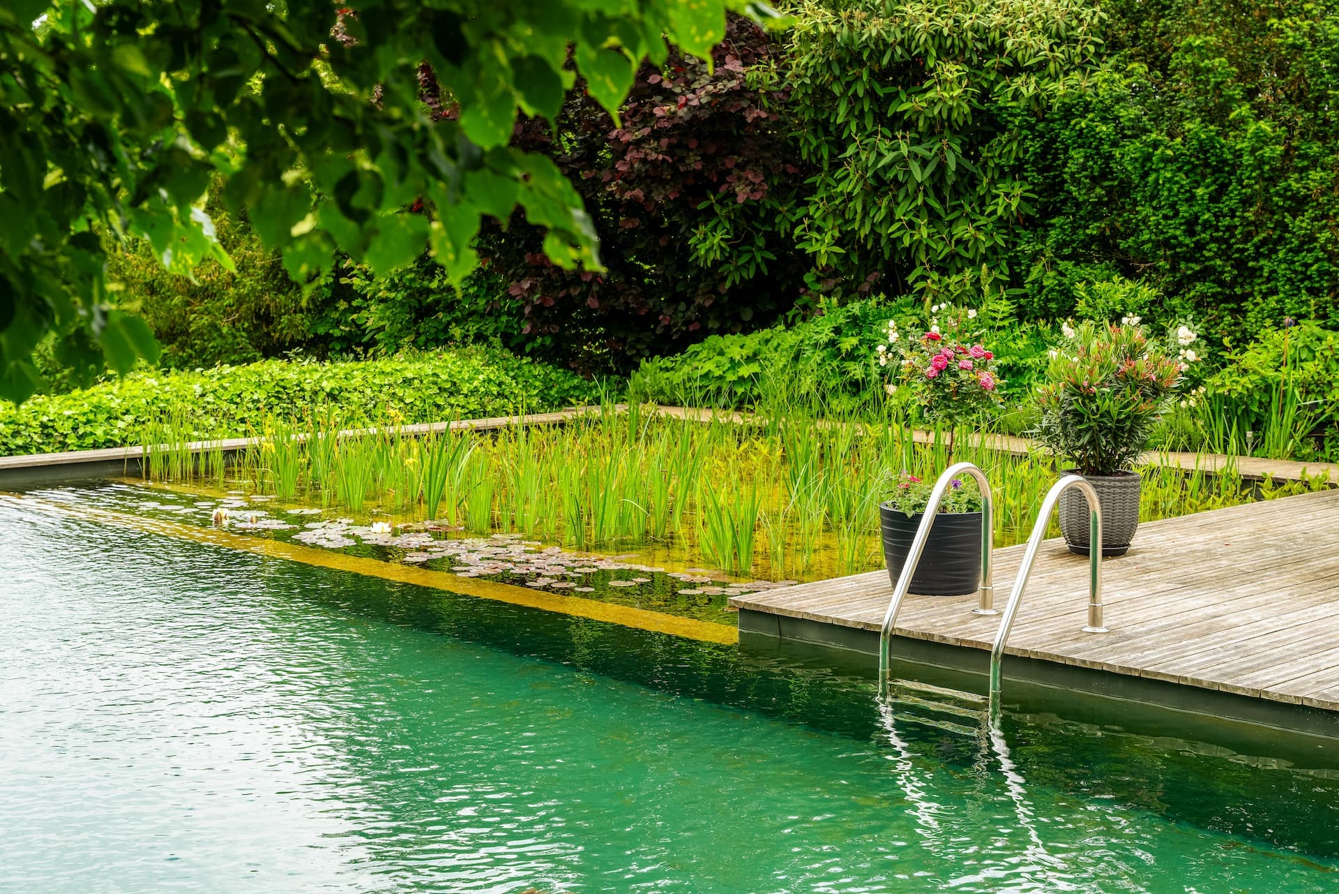 Swimming Pond Slide 2