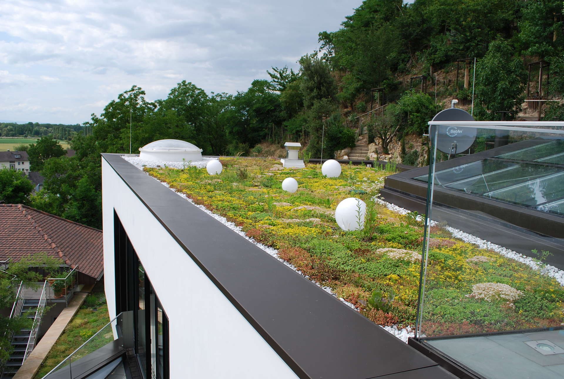 Swimming Pond Slide 1