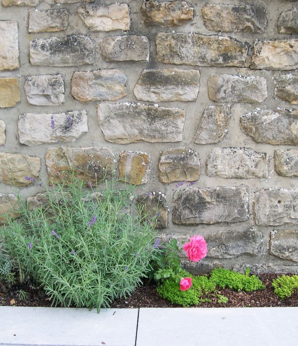 Swimming Pond Slide 2